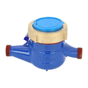 Rotary Vane Wet Cold Water Meter LXSK R80 Mechanical Water Meter Stainless Steel Brass Body for Water Project