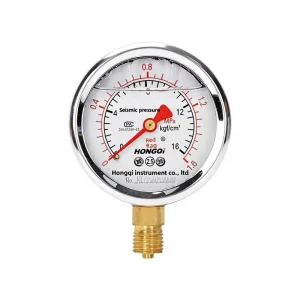 Shock Resistant Seismic Resistant Pressure Gauge Model YTN 60 1.6 MPa Accuracy Class 2.5 Threaded Connection