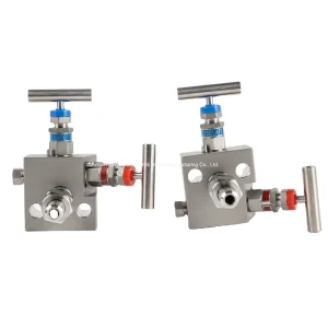 Single-piece Gauge Manifold Forging Flanged Stainless Steel Two-valve Manifolds One Pair
