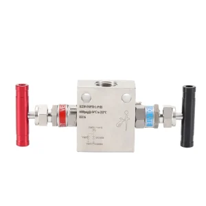 Stainless Steel High Pressure 6000psi Two Valve Manifolds for Gauge