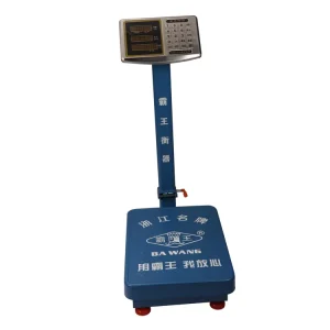 Stainless Steel Platform Scale with LED LCD Display