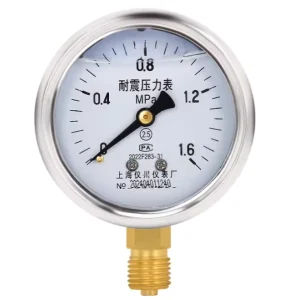 Stainless Steel Pressure Gauge