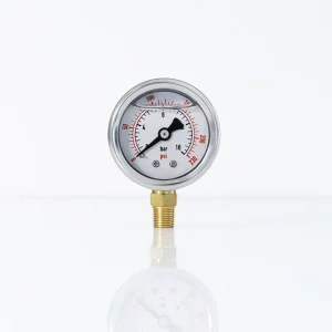 Stainless Steel Radial Digital Pressure Gauge ISO9001 Certified 0 450psi for Liquid and Water Pressure Measurement