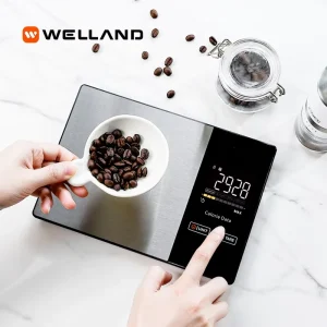 Stainless Steel Smart Nutrition Calories Balance App Digital Weighing Kitchen Food Scale With Nutritional Calculator