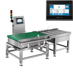 Stainless Steel Touch Screen Digital LCD Checkweigher High Precision Automatic Weighing Machine From China