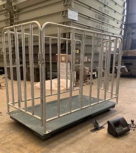 Steel Carbon Scale Industrial Weighing COW Scales