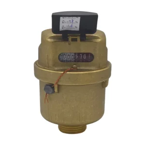 Vertical Volumetric Complete Brass IP68 Cold Water Prepaid Water Meter DN20 OEM Customizable R200 Factory Price