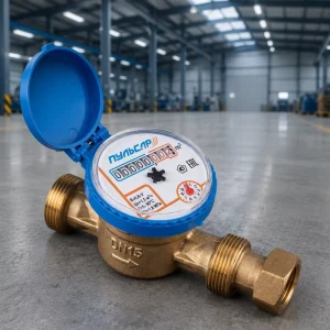 Water Meter Single Jet Mechanical DN15 R100 Cast Iron Body High Precision Residential Liquid Flow Measuring Equipment