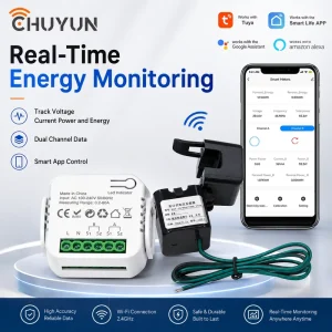 WiFi Dual Channel Smart Electricity Meter Energy Monitor with App Control Real Time Power Tracking
