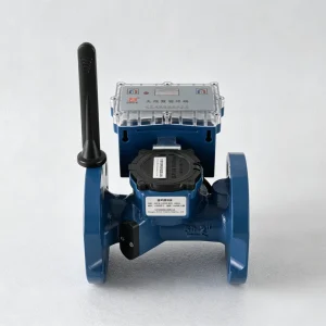 Wireless Remote IP68 OEM Digital Plastic Brass Ultrasonic Water Meter DN50 DN300 Flanged NB IoT 4G Optional 1 Year Warranty